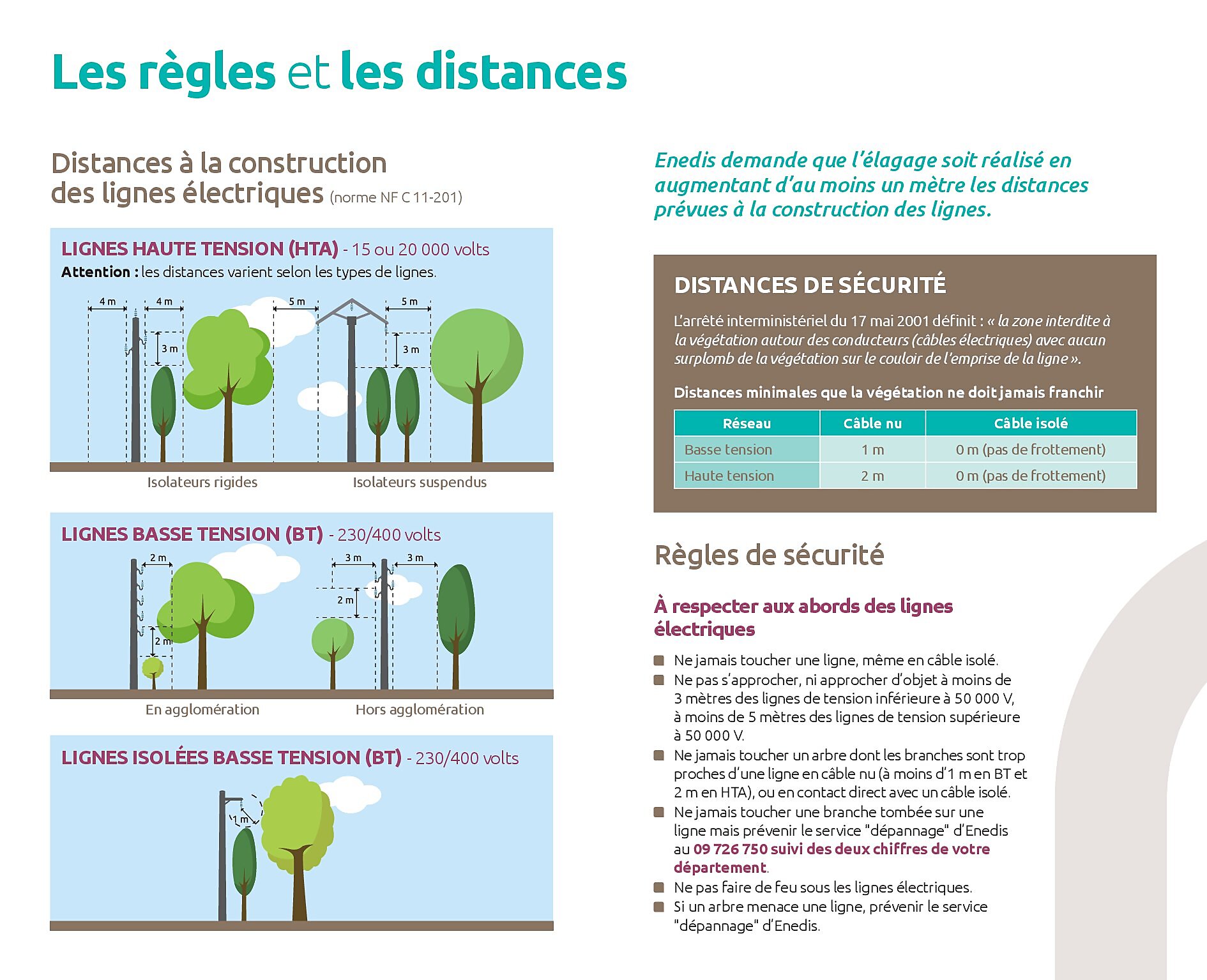 Élagage : ce qu'il faut savoir