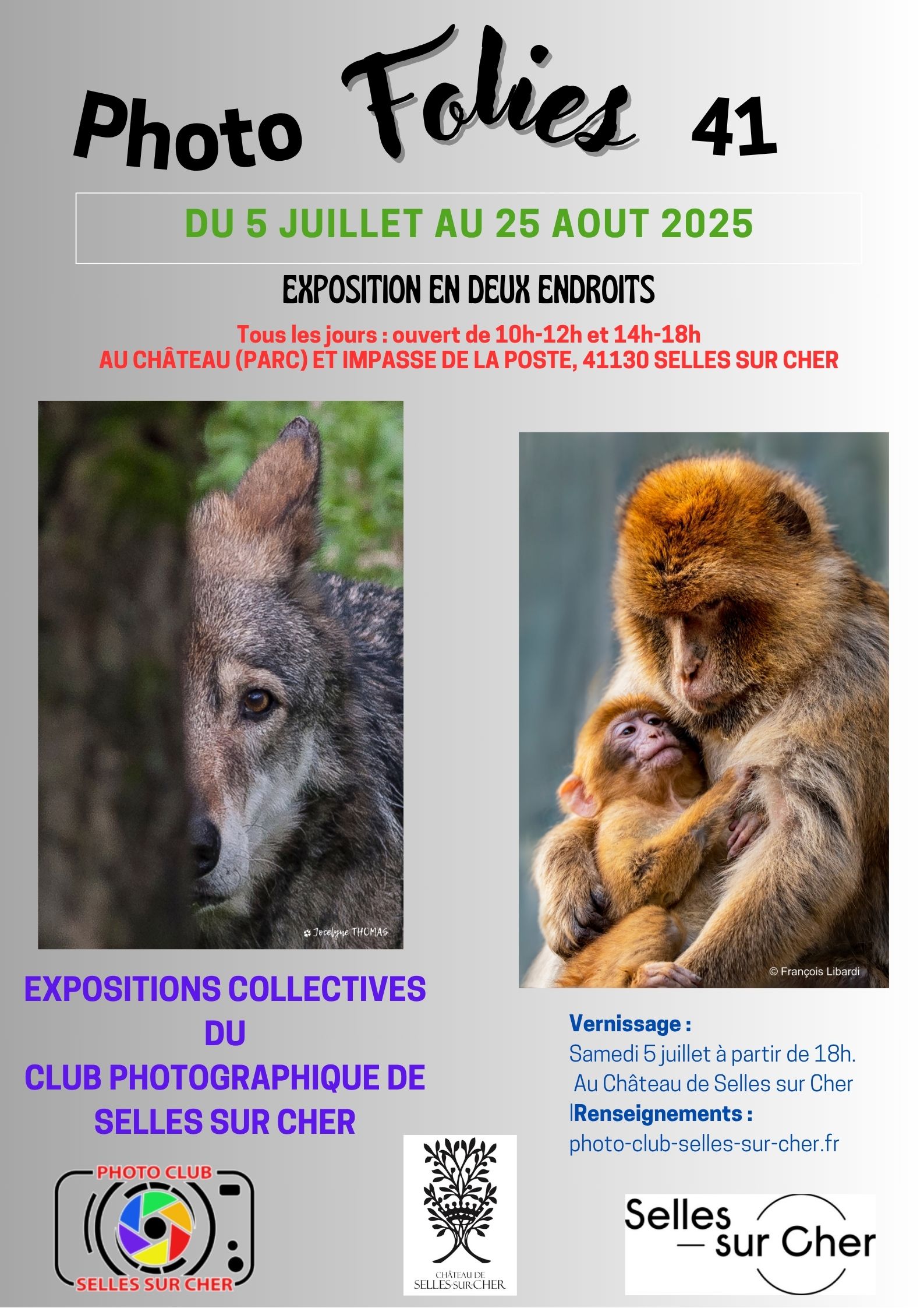 Photofolies 41 2025