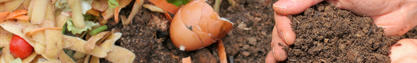 Café compost